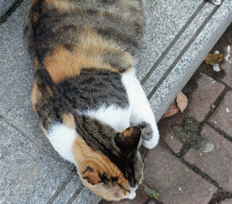 初高中化学，高中生物咨询 感兴趣的话点“我...