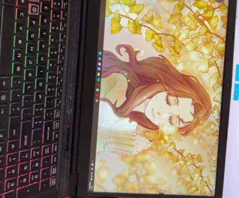 机械革命x3深海泰坦 i7  9750h1...