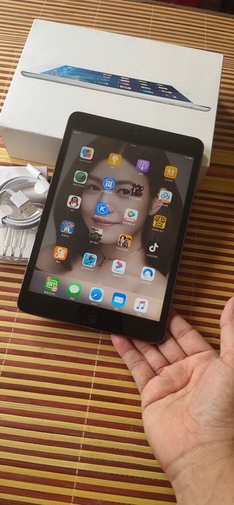 苹果平板  iPad mini， WiFi...