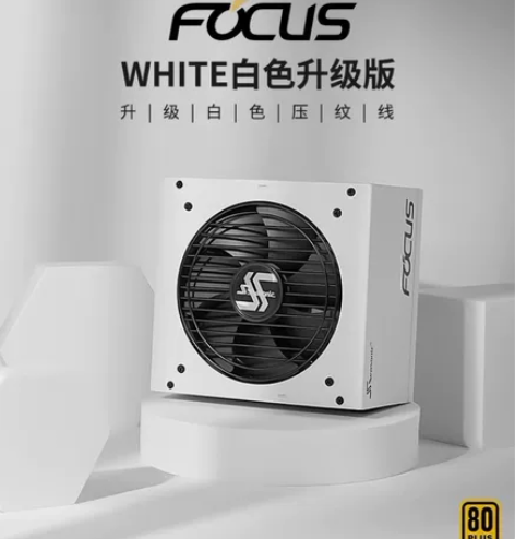 【全新 正货】海韵FOCUS+GX850白...