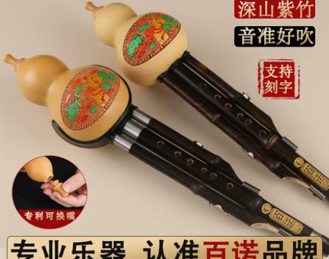 百诺葫芦丝 葫芦丝初学天然紫竹防摔者c调专...