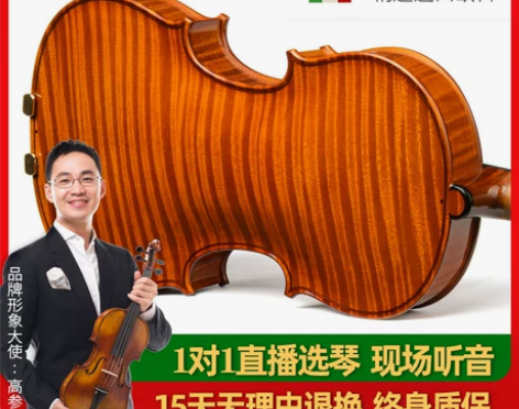 克莉丝蒂娜新款S700-8进口欧料小提琴大...