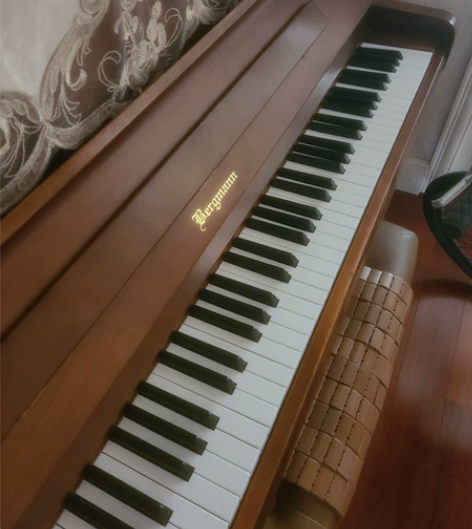 钢琴，孩子很少用，不学 感兴趣的话点“我想...