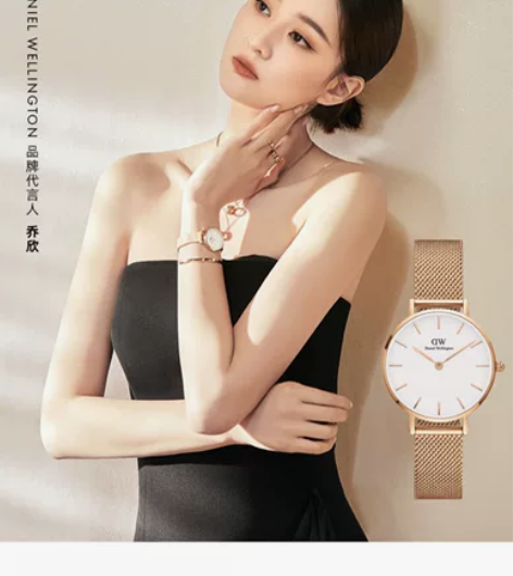 dw手表女 PETITE系列优雅流金表28...
