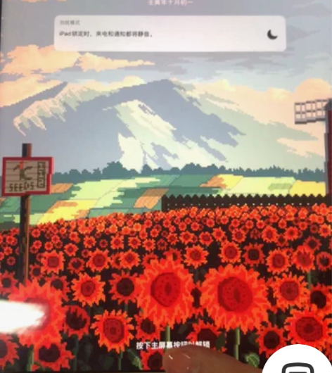 iPad第七代 128g 玫瑰金 学生党自...