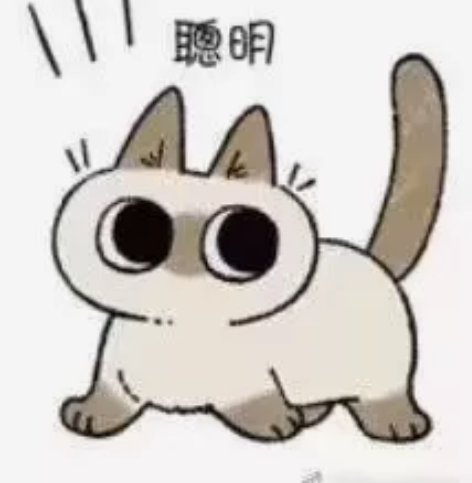 火影忍者手游，不限配置接决斗场段位，全天接...