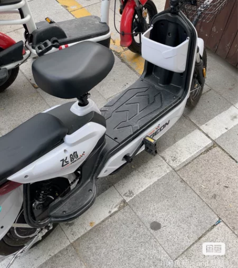 新国标飞鸽电动车 48v 铅酸电池 不议价...