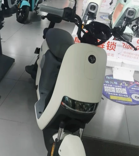 九号Ninebot电动自行车锦鲤A35+9...