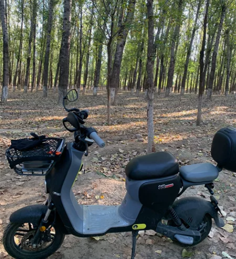 九号b110p，一年的车跑了六千多公里，电...