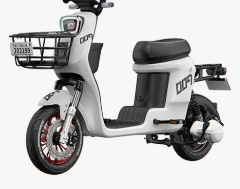 新国标电动自行车深远009同款外卖锂电池瓶...