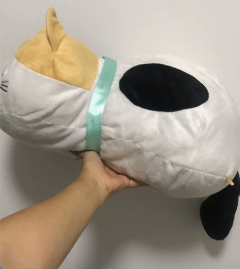 猫老师 头到屁股48厘米 全新全新31-5...