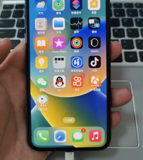 iPhoneX面部识别故障，256G黑色 ...