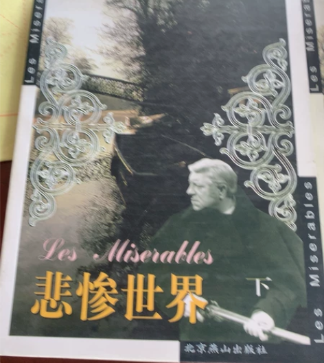 正版图书《悲惨世界》上下册，法国作家：雨果...