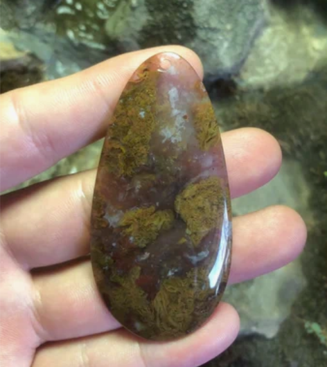 紫罗兰飘黄花 稀有品 感兴趣的话点“我想要...