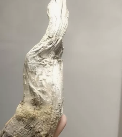 太行高崖崖缝骨飘，细节自己看，都处理50元...