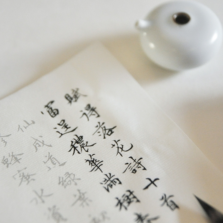转  全新 花草小楷毛笔字帖描红宣纸书法练...