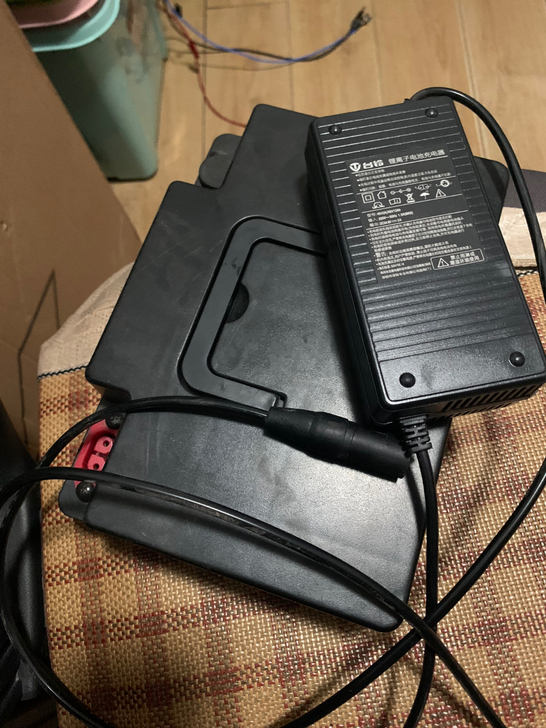 台铃小核桃电动车48V12A锂电池，带原充...