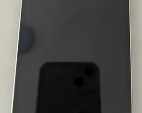 Apple/苹果 iPhone 12 感兴...