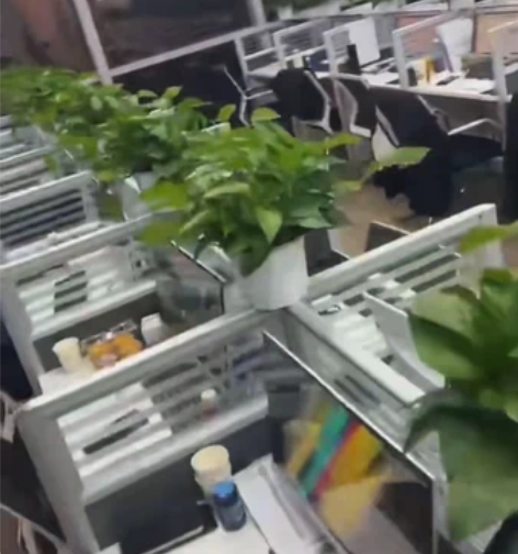 免押金租电脑，免费售后 免押条件：芝麻分6...