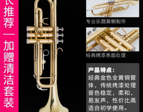 小号 乐器 降B调三音小号 初学演奏考级专...
