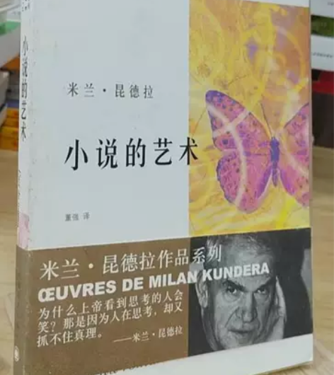 正版二手 小说的艺术 上海译文出版社 正版...