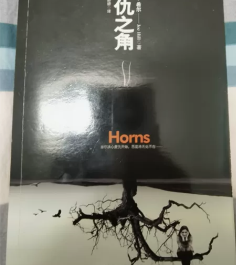 闲置书处理，不议价，不包邮，买家承担运费，...