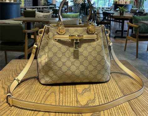 女士手提包 手提包手拎包包女2022新款时...