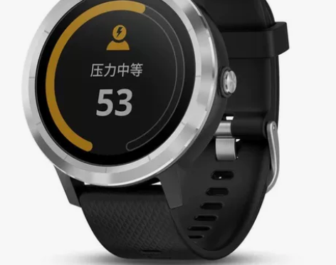 Garmin佳明运动手表vivoactiv...