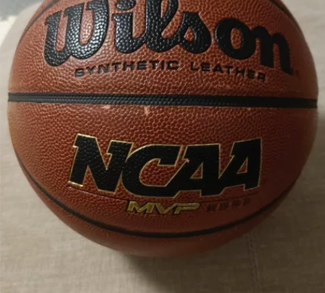 威尔胜（Wilson）篮球WB645G校园...