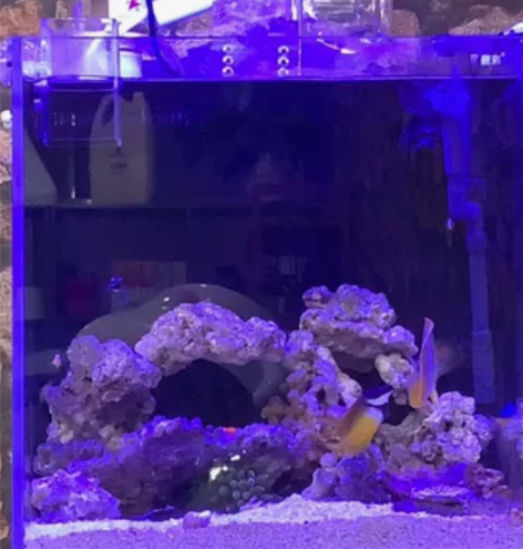 出个40方海缸，自己看好是啥缸子，使用半个...