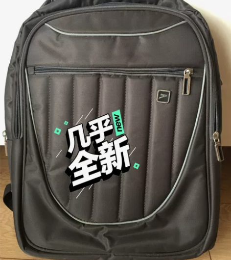 电脑包背包双肩背电脑包，质量非常好 品质看...