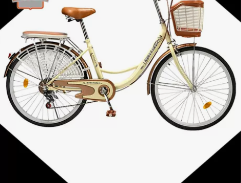 上海凤凰车件有限公司自行车女式轻便成年人代...