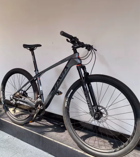 sava山地车 碳纤维山地车 SAVA复仇...