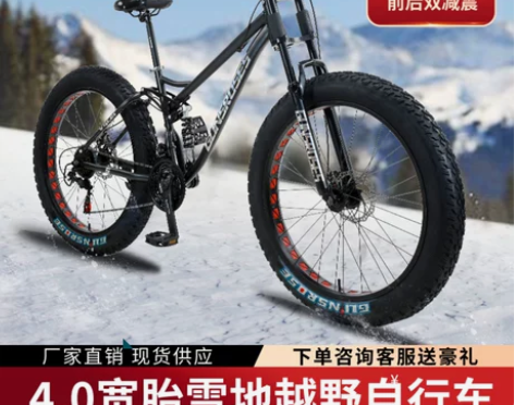自行车 27速30速胖子宽粗大轮胎变速雪地