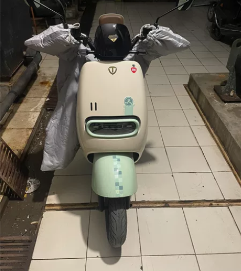 台铃标兵EB国标电动车，购买不到一个月，脚...