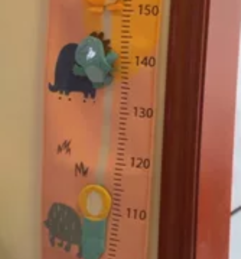 Babycare身高尺，软尺绒布面料，全新...