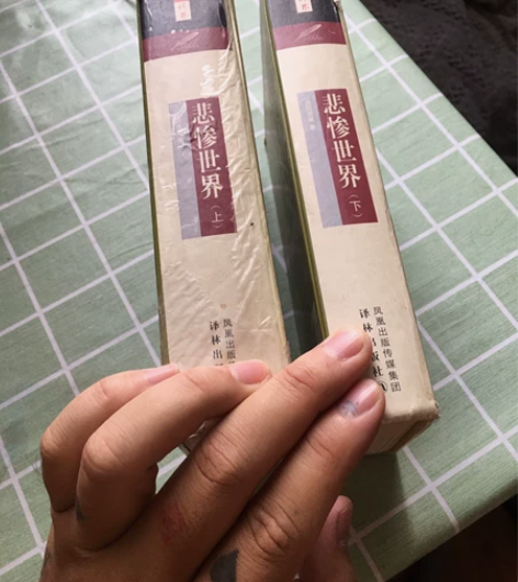 悲惨世界上下两册全套。译林出版社、凤凰出版...