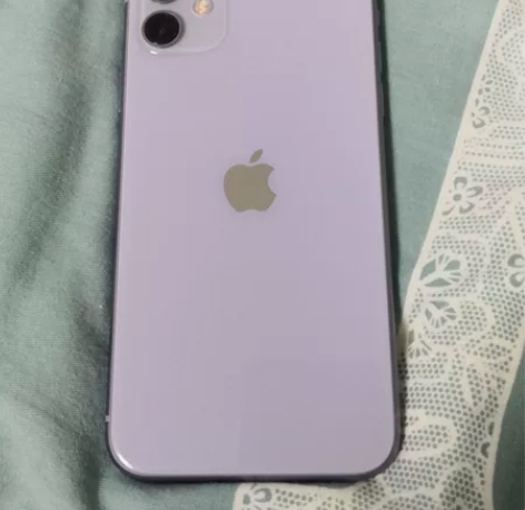 Apple/苹果 iPhone 11 感兴...