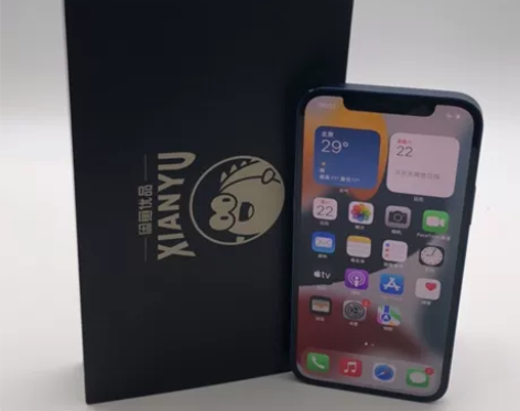 Apple/苹果 iPhone 12 二...