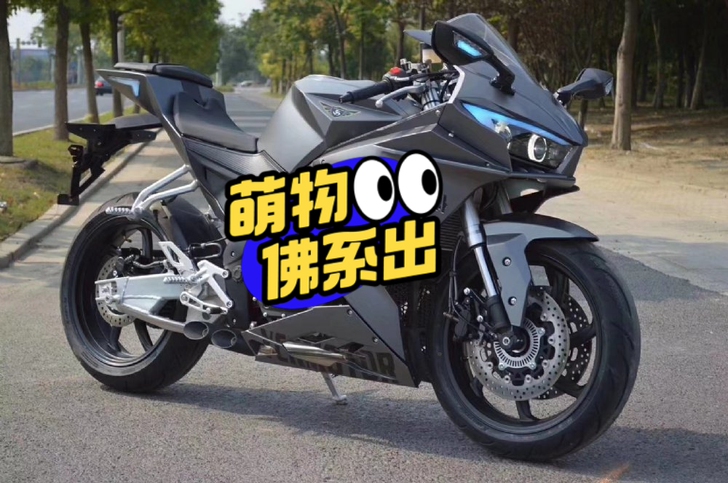 转手原因   想换一个拉力车