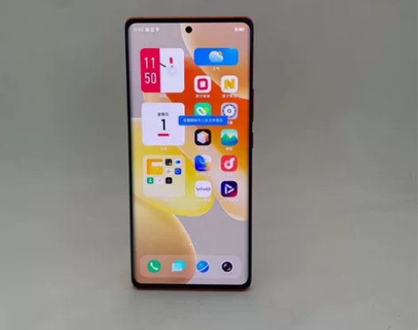 vivo vivo X80（5G）8+25...