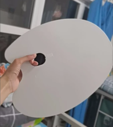 全新的大号调色盘一个，6元包邮，偏远除外。...