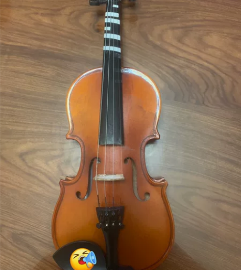 1/4小提琴 东方乐器华蕴 孩子个人用1/...
