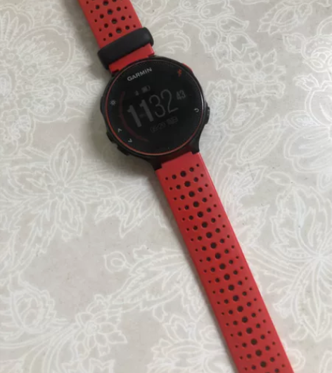 Garmin/佳明Forerunner23...