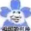 收 台电t40
