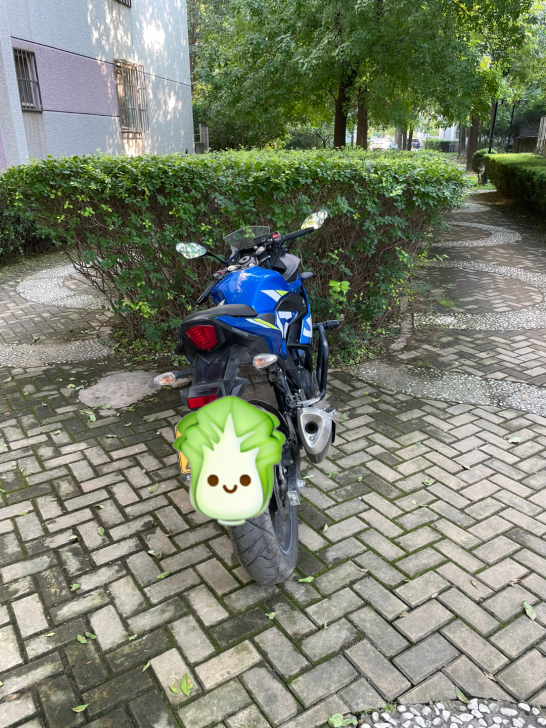 20年铃木gsx250r跑车,个人一手户,...