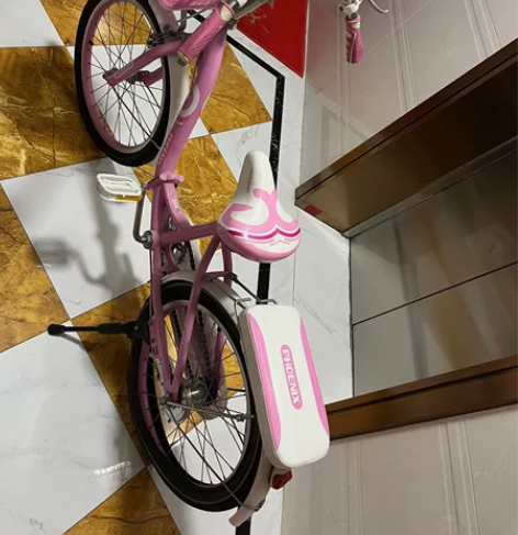 凤凰儿童自行车女孩中大童女童脚踏山地车6-...