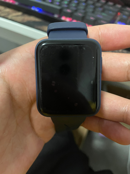 Redmi Watch 经典蓝 智能手表 ...