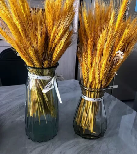 北欧风简约花瓶透明玻璃客厅卧室插花家用高颜...