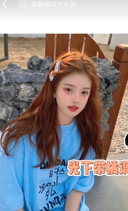 三鑫瑞倪染    焦糖橘棕色